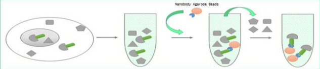 603603bf63cb2.png image.png