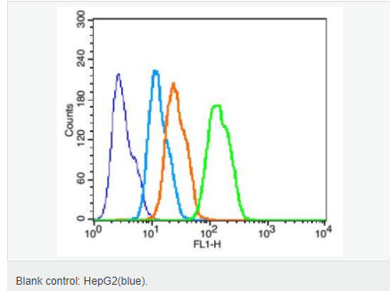 605942bb18b34.png image.png