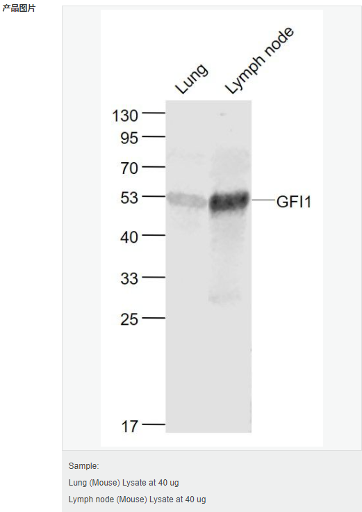 60595fdba8f17.png image.png