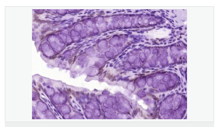 605d85f0f0227.png image.png