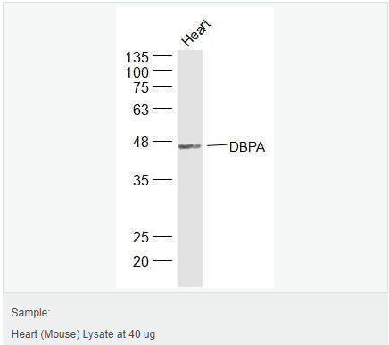 605d8902c57d0.png image.png