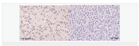 606570f7055b3.png image.png