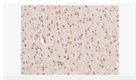 6066d9d95bd46.png image.png