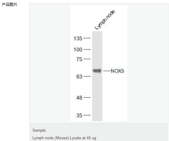 60792dd434a94.png image.png